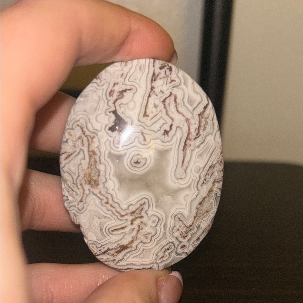 Unique Mexican lace palm stone